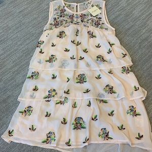 Blush Floral Embroidered Dress